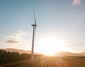 wind turbine and vineyard